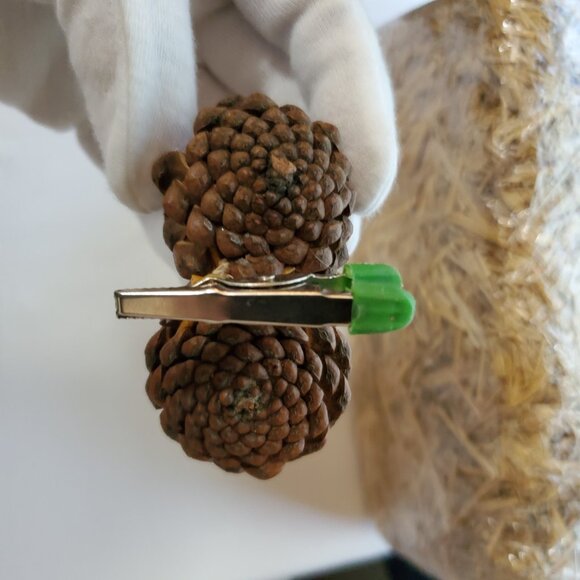 Natural Unscented Wooded Pinecone Clip Ornaments – Holiday Décor – Set of (2) - Picture 6 of 6